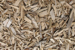 biomass boilers Ashby Parva